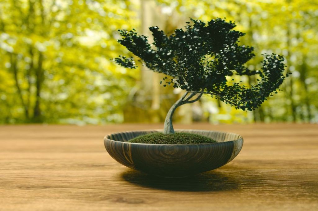 ilustrasi tanaman bonsai - KedaiKata 4.jpg